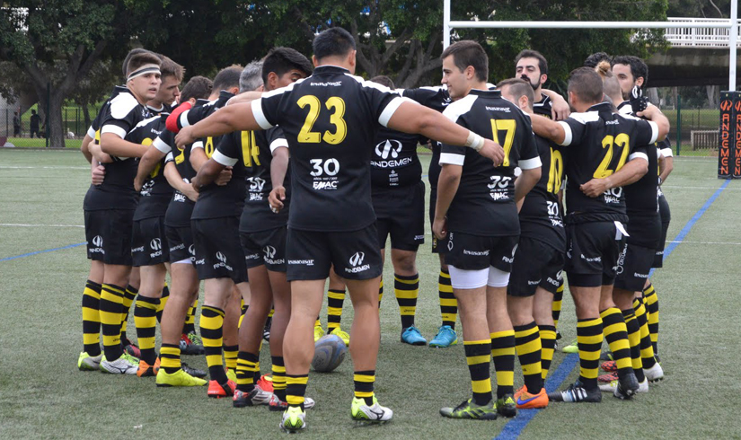 NOS VAMOS A SANT BOI, tatami senior a